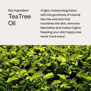 https://cdn.shopify.com/s/files/1/1857/6931/products/2fWU0Woua7.jpg?v=1631364873